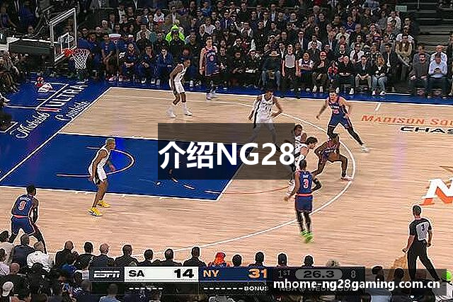 介绍NG28
